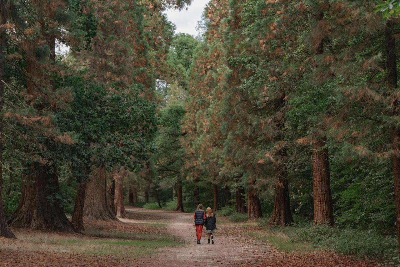 The Langley, A Luxury Collection Hotel, Buckinghamshire Айвър Екстериор снимка